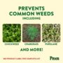 Garden Weed Preventer Granuals – Preen – 16 lb